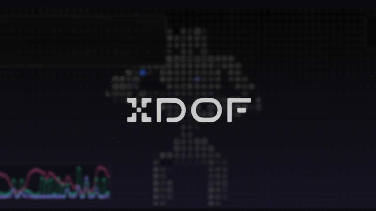 How Robot Startup XDOF Became a Unicorn Contender in Under a Year