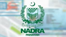 Sindh Links All Educational Boards With NADRA to Prevent Fake Degrees